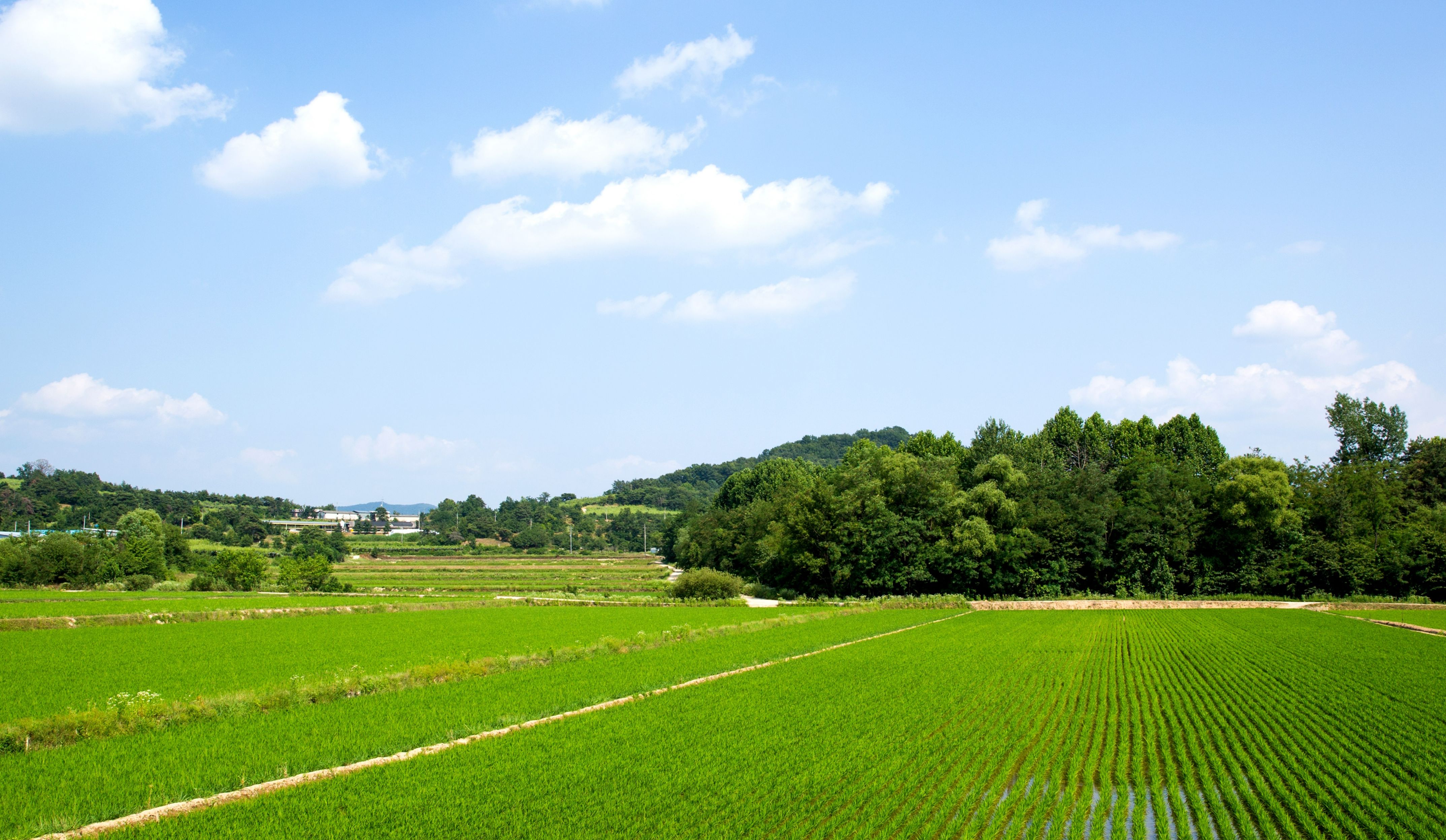 重庆地区4G太阳能视频监控解决方案